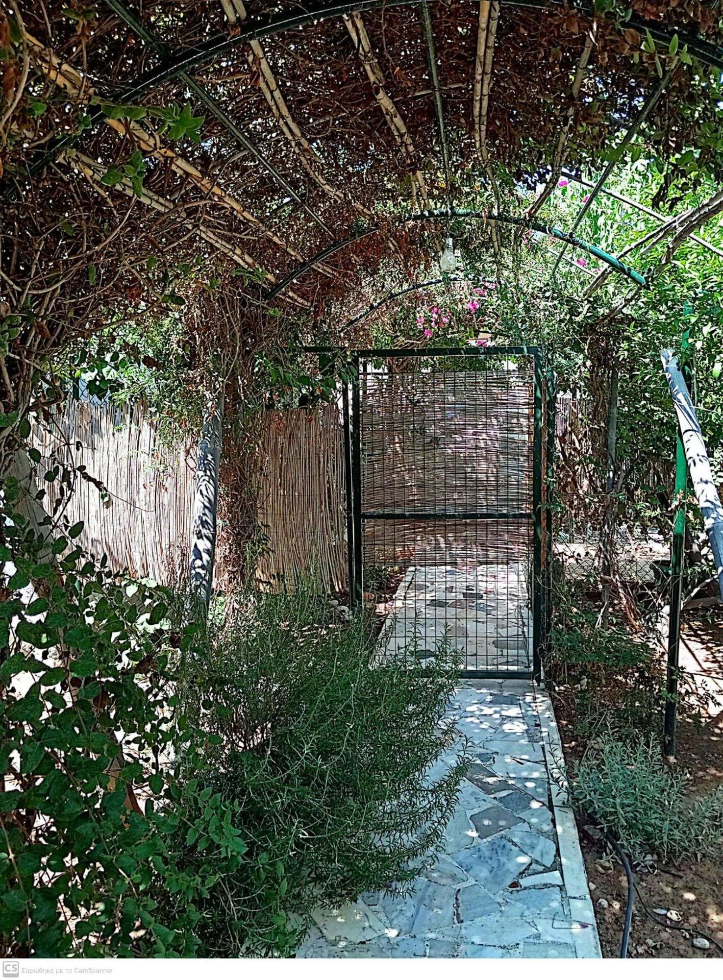 הוילה Ambelakia Εξοχικό Maria מראה חיצוני תמונה